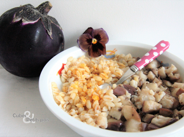 Menu Pour Bebe Aubergine Ble Et Poisson Au Curcuma Cubes Petits Pois