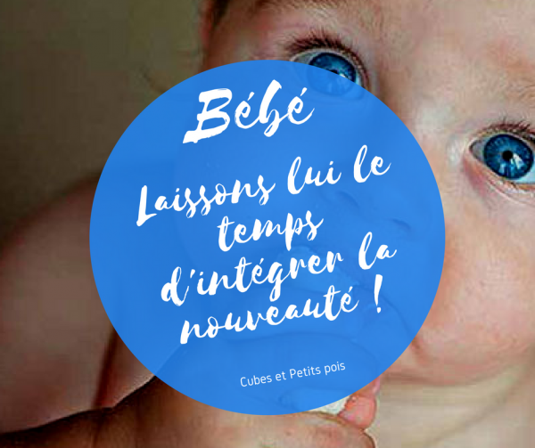 Integration Du Gout Laissez Le Temps A Votre Bebe Cubes Et Petits Pois Diversification Alimentaire Et Recettes Bio Pour Bebe Cubes Petits Pois